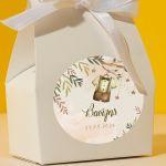 Sticker label,Clothes on a tree, boy