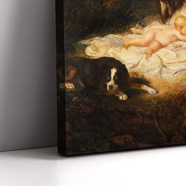 Canvas print The finding of Aesculapius, Giovanni Tognolli