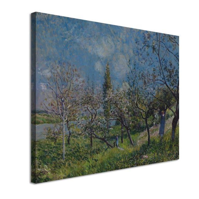 Πίνακας ζωγραφικής Orchard in spring Sisley Alfred Καμβάς τελαρωμένος