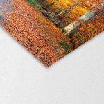Canvas print Autumn path