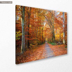 Canvas print Autumn path 2