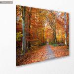 Canvas print Autumn path
