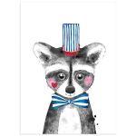 Circus Racoon, poster