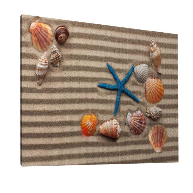 Canvas print Sea shells with sand