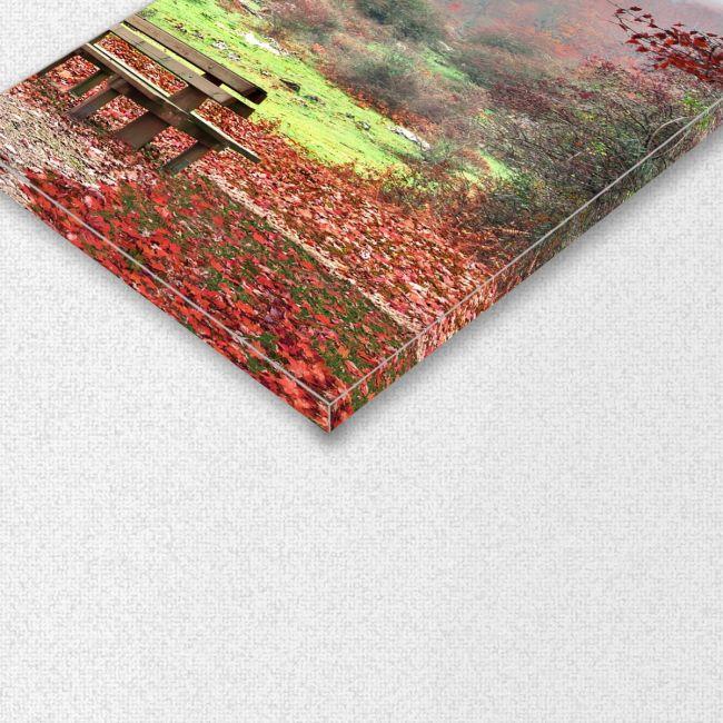 Canvas print Red leaves, four panels