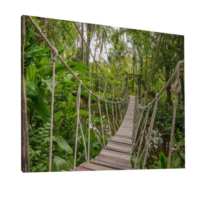 Πίνακας σε καμβά Γέφυρα, Rope bridge