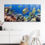 Πίνακας σε καμβά Corals and fishes, πανοραμικός