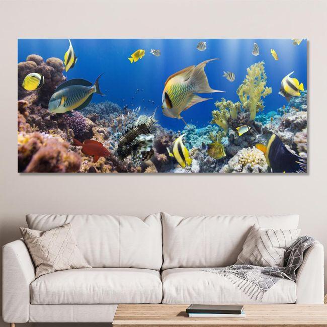 Πίνακας σε καμβά Corals and fishes, πανοραμικός