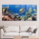 Πίνακας σε καμβά Corals and fishes, πανοραμικός