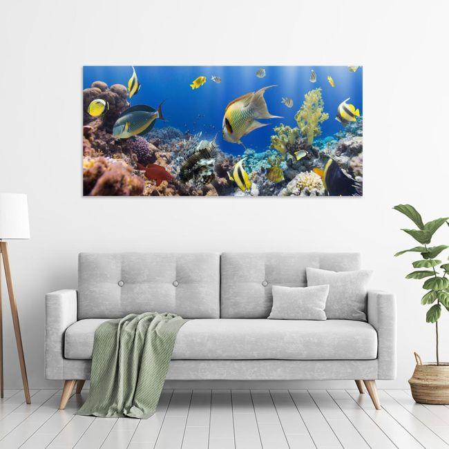 Πίνακας σε καμβά Corals and fishes, πανοραμικός