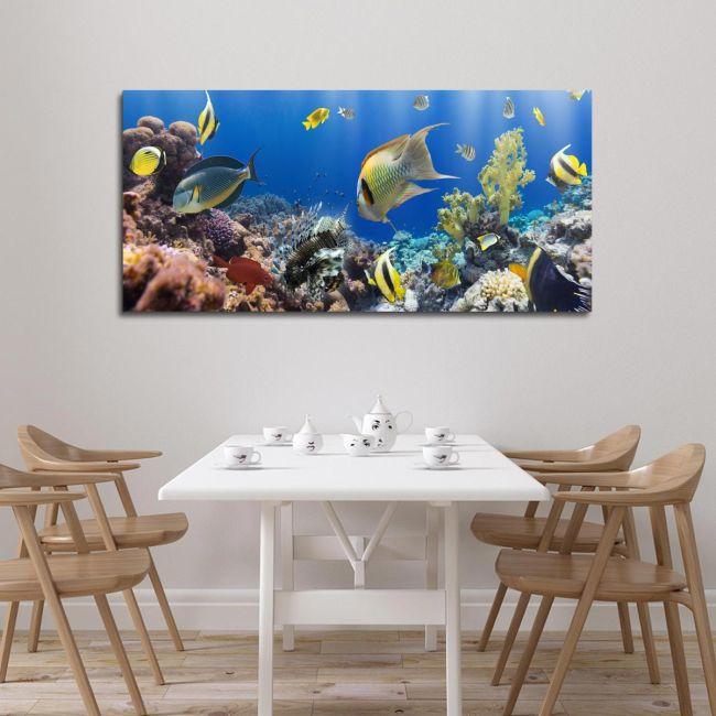 Πίνακας σε καμβά Corals and fishes, πανοραμικός