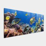 Πίνακας σε καμβά Corals and fishes, πανοραμικός