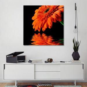 Πίνακας σε καμβά Μαργαρίτα, Orange daisy reflections