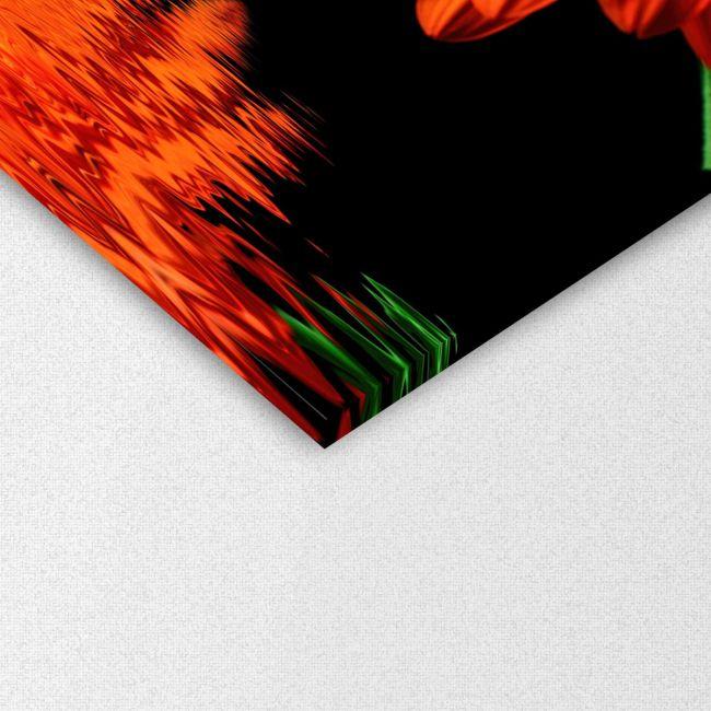 Πίνακας σε καμβά Μαργαρίτα, Orange daisy reflections