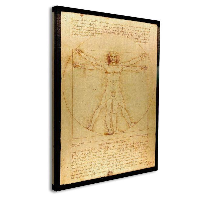 Πίνακας ζωγραφικής The vitruvian man by Leonardo da Vinci
