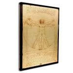 Canvas print The vitruvian man by Leonardo da Vinci