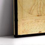 Canvas print The vitruvian man by Leonardo da Vinci