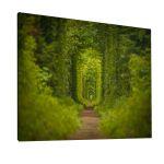 Canvas print Tunnel of love