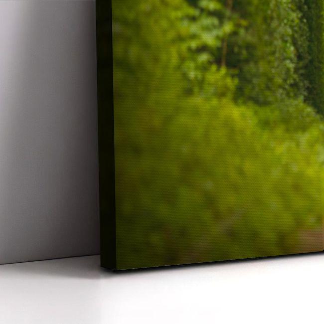 Canvas print Tunnel of love