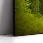 Canvas print Tunnel of love