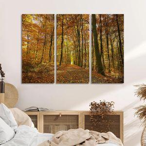 Canvas print Autumn colors3 panels