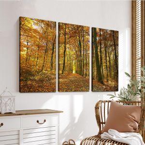 Canvas print Autumn colors3 panels 2