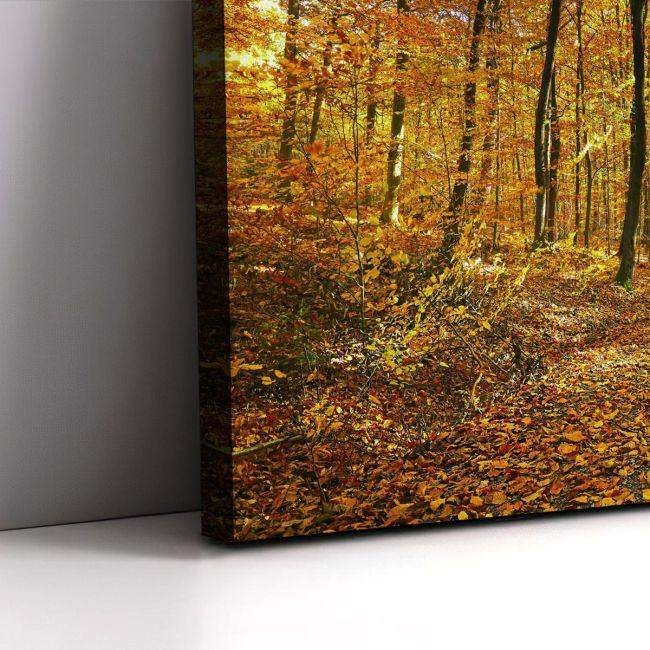 Canvas print Autumn colors3 panels