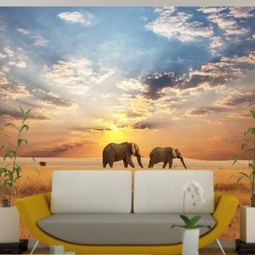 Wallpaper Elephants in the savannah