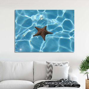 Canvas print Starfish