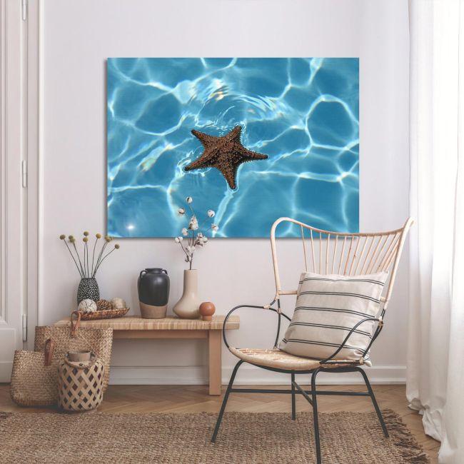 Canvas print Starfish