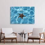 Canvas print Starfish