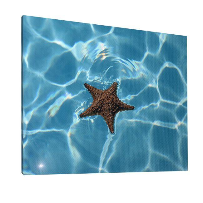 Πίνακας σε καμβά Αστερίας στον βυθό, Starfish