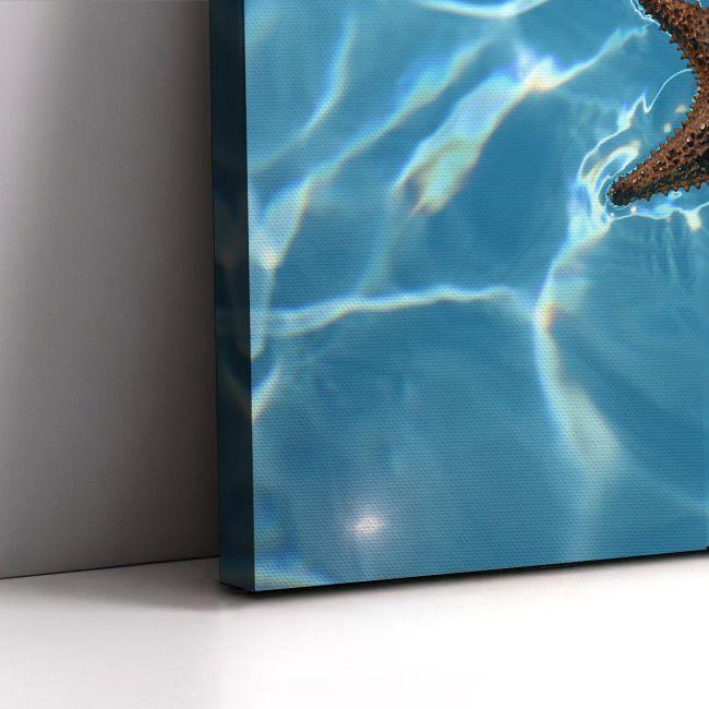 Πίνακας σε καμβά Αστερίας στον βυθό, Starfish