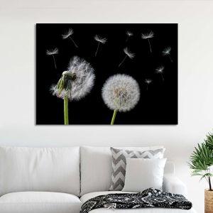 Canvas print Dandelion flower
