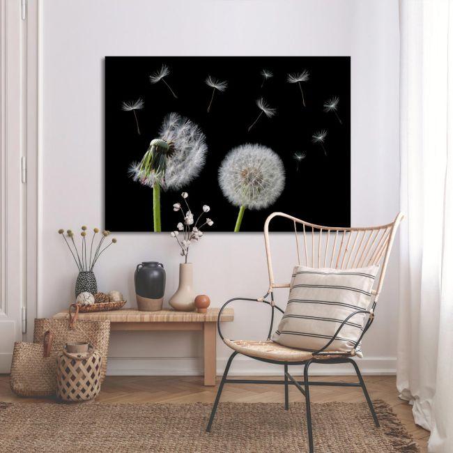Canvas print Dandelion flower