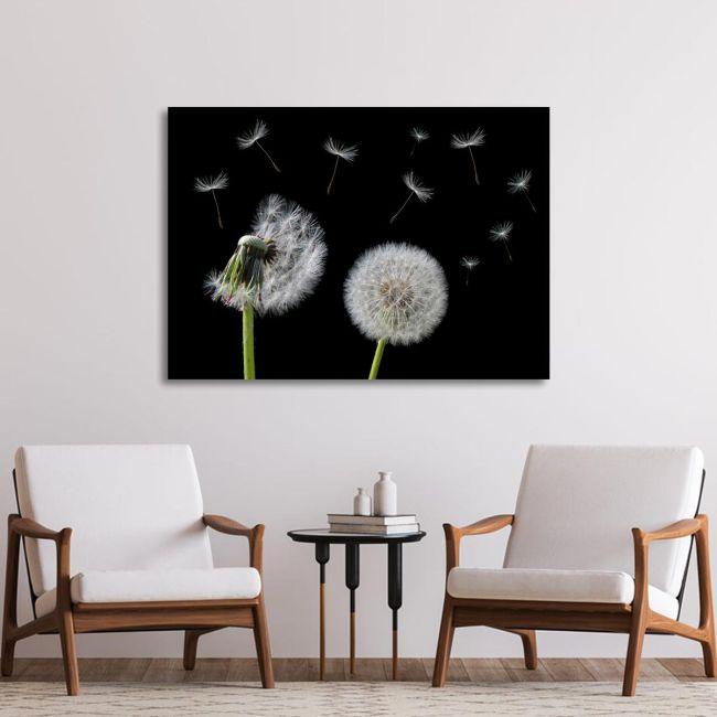 Canvas print Dandelion flower