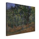 Πίνακας ζωγραφικής The Bodmer oak, Monet