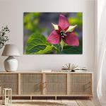 Canvas print, Red trillium flower