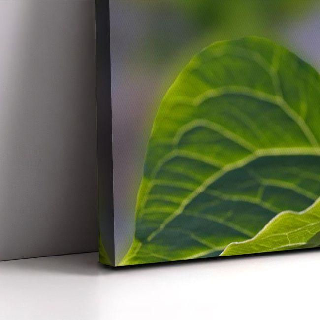 Canvas print, Red trillium flower