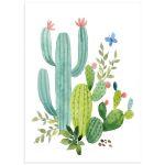 Polixrwmoi kaktoi, poster