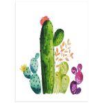 Πολύχρωμοι κάκτοι I αφίσα κάδρο  Αφίσα