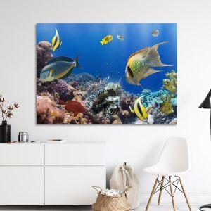 Canvas print, Coral reef with fish