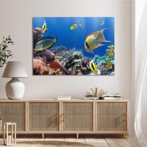 Canvas print Coral reef with fish Framed canvas View 1 2