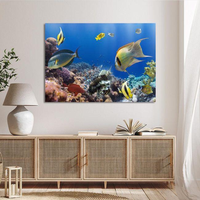 Canvas print, Coral reef with fish