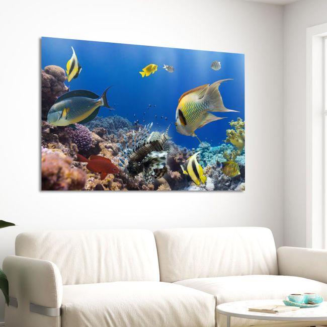 Canvas print, Coral reef with fish
