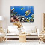 Πίνακας σε καμβά Coral reef with fish