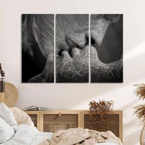 Canvas print Roots gray,3 panels