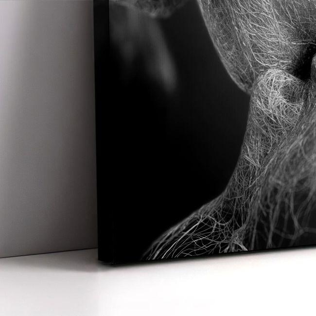 Πίνακας σε καμβά Roots gray, τρίπτυχος