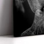 Πίνακας σε καμβά Roots gray, τρίπτυχος