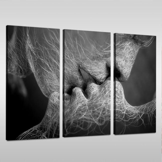 Πίνακας σε καμβά Roots gray, τρίπτυχος